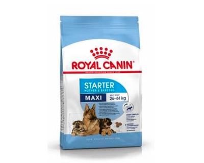 Royal canin Kom. Maxi Starter