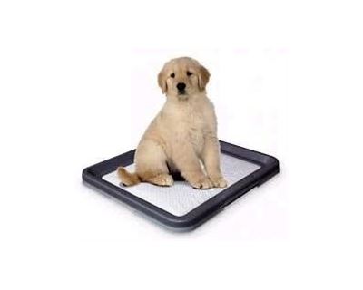 WC Puppy Nobby 62,5 x 48 x 3,8 cm