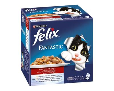 Felix cat kaps.-Fant.Multipack mas.výber v želé 24 x 100 g